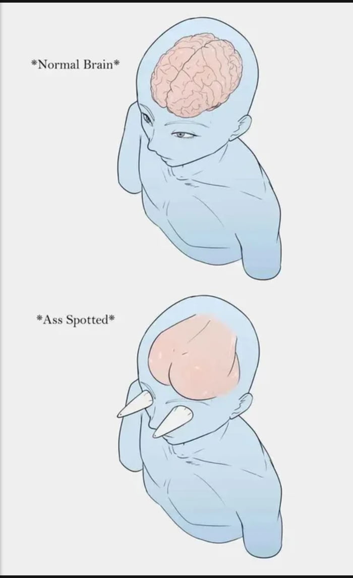 I've been told they post ass here