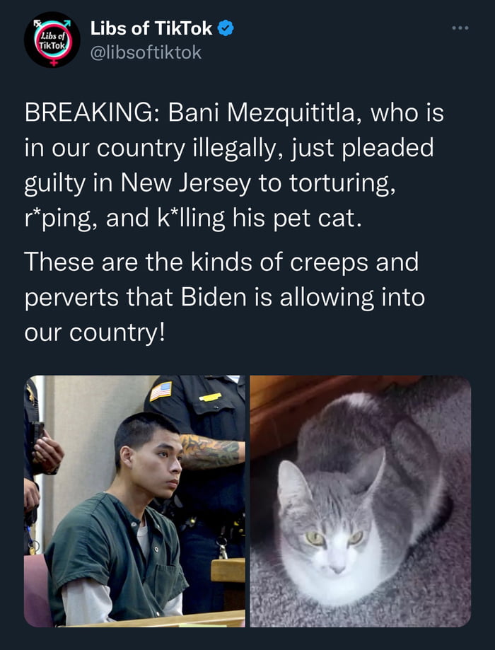 Even pets are not safe from Joe Biden’s pets - 9GAG