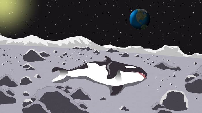 Cant wait for de pictures