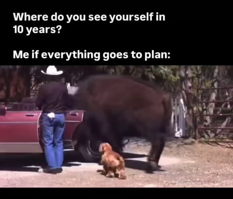 When you name your buffalo bill