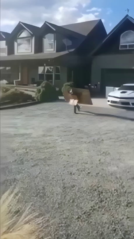 Definitely learned how