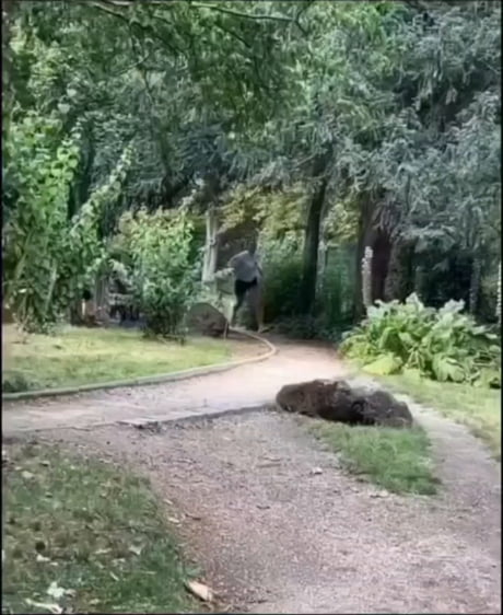 You got me, I'm bay harbor butcher