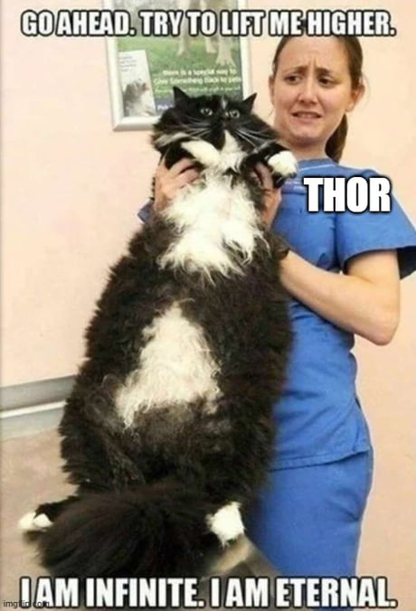 25 Best Memes About Eternal Eternal Memes