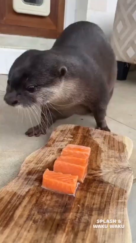 Breakfast served all day