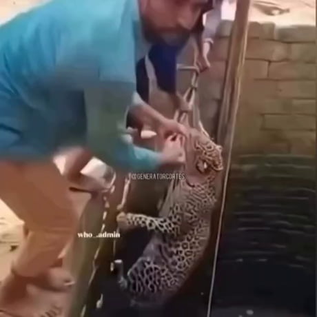 Mission failed, we'll get em next time